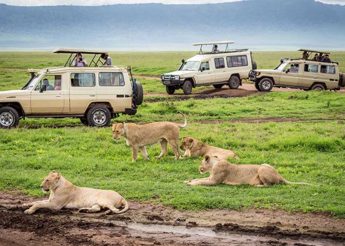 Ngorongoro Crater Safari, Best African Safari