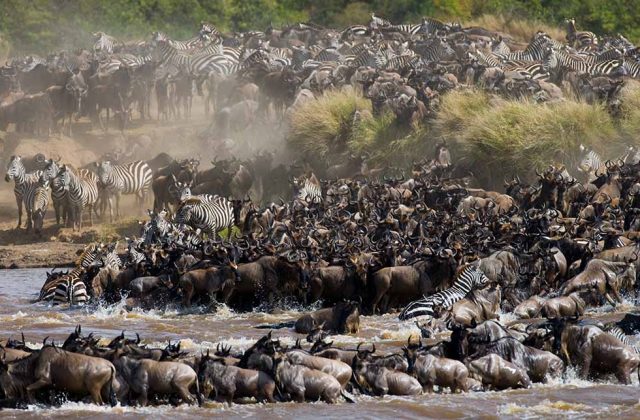 Timeline Tours & Safaris