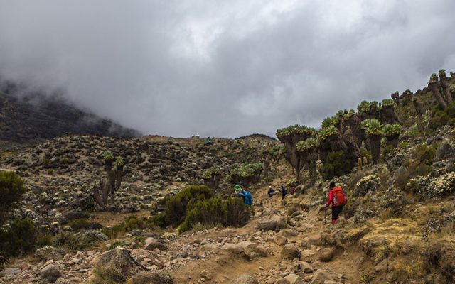 Kilimanjaro Routes